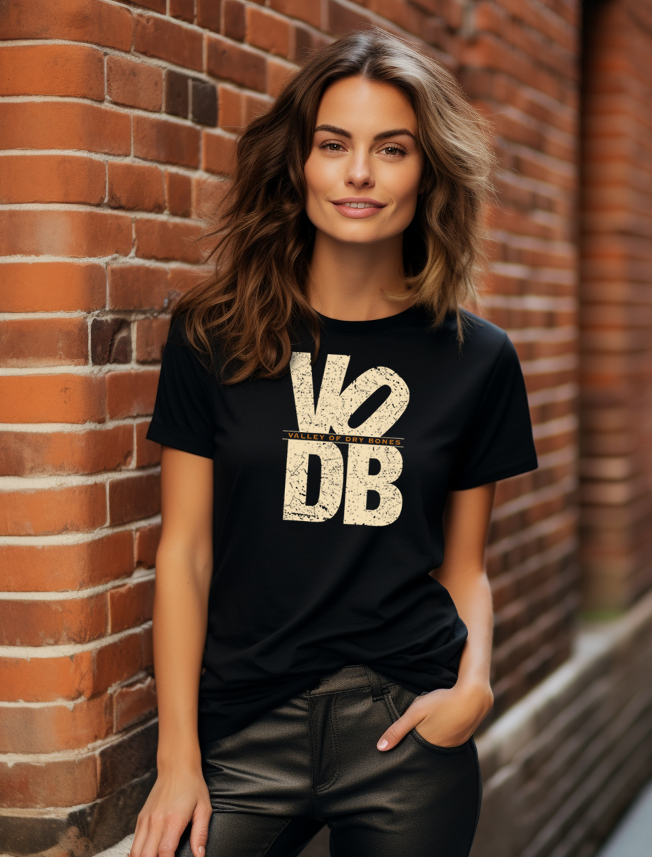 VODB | BH-2 | Bella + Canvas 3413 UNISEX Tri-Blend T-Shirt