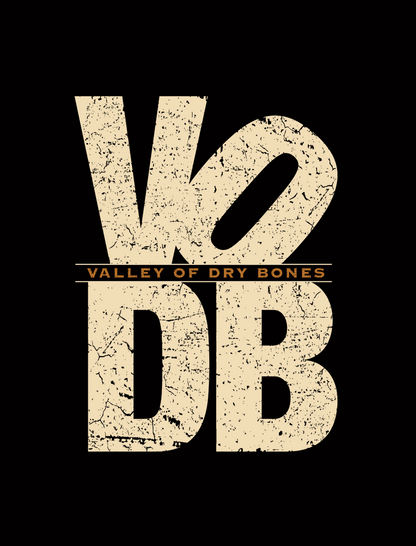 VODB | BH-2 | Bella + Canvas 3413 UNISEX Tri-Blend T-Shirt